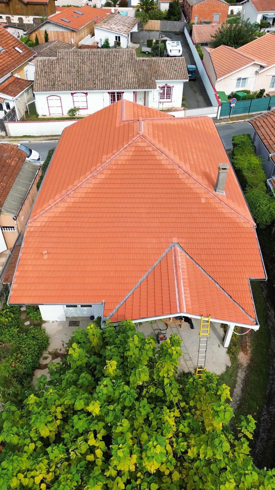 WhatsApp Image 2026-01-24 at 15.35.40